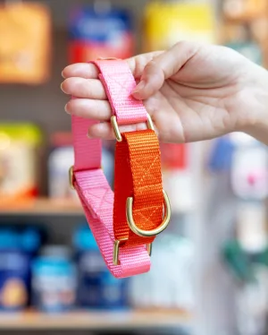 Martingale Dog Collar in Pink   Orange (Made in the USA)