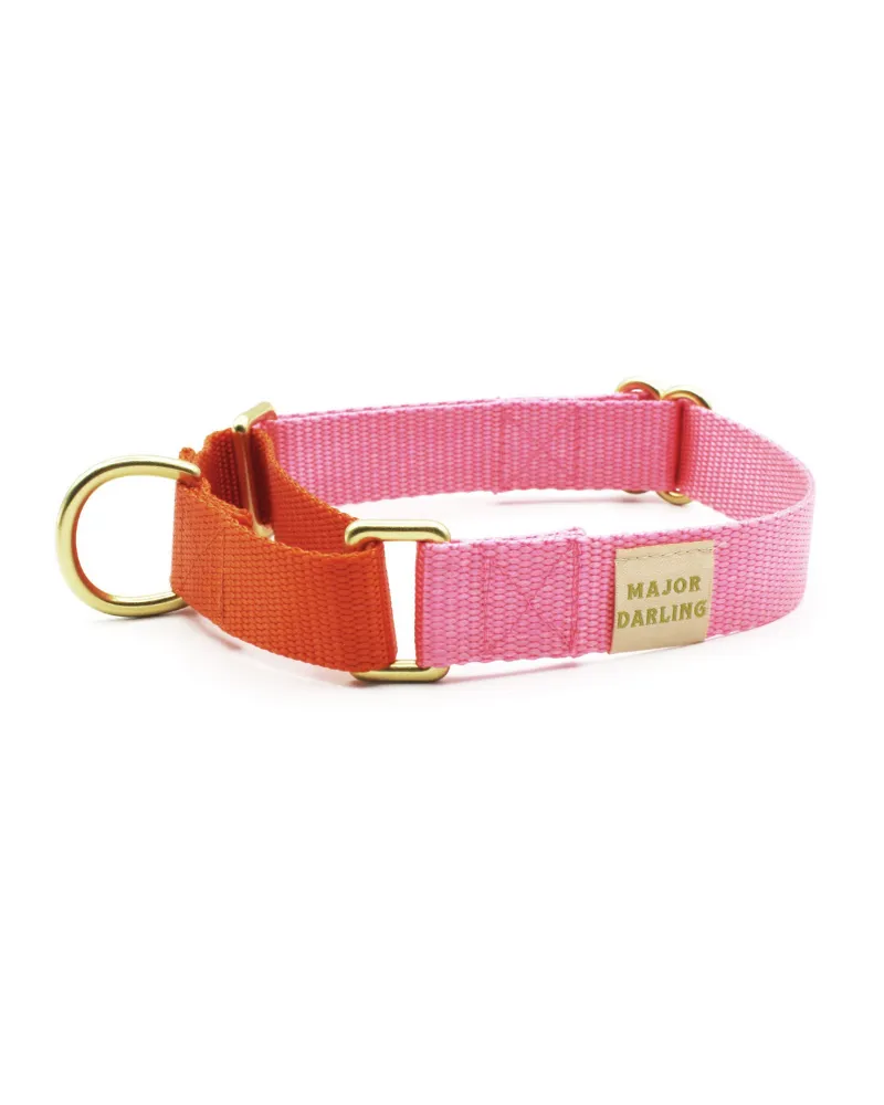 Martingale Dog Collar in Pink   Orange (Made in the USA)