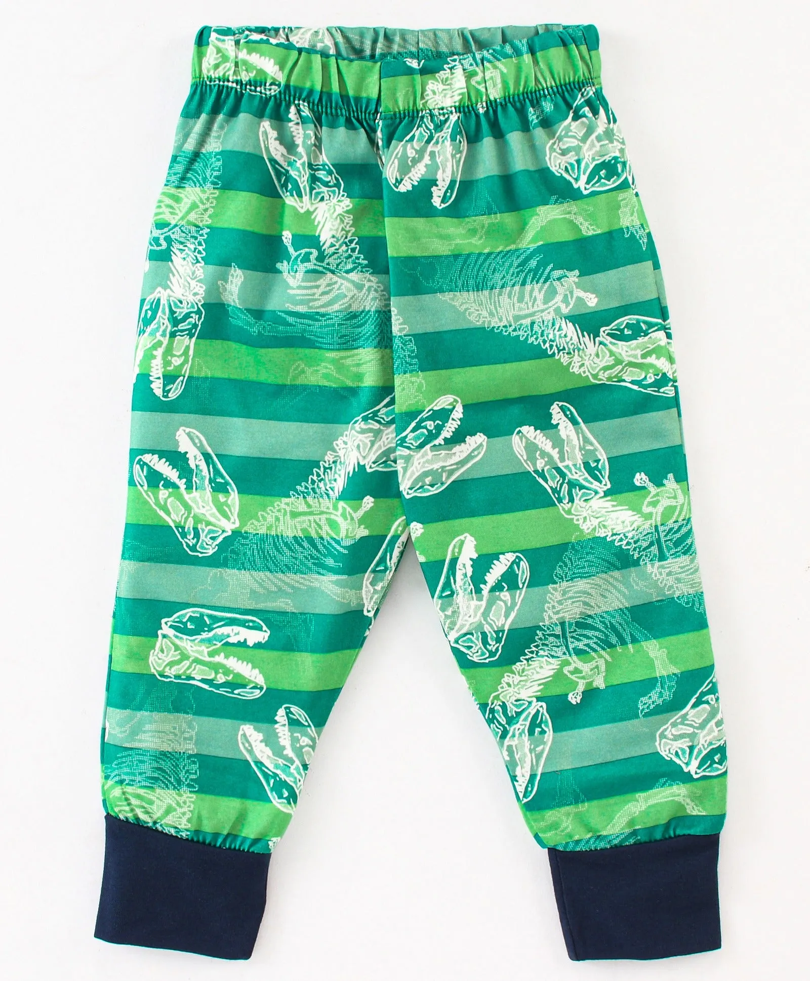 Striped Dinosaur Sweatshirt Jogger Set