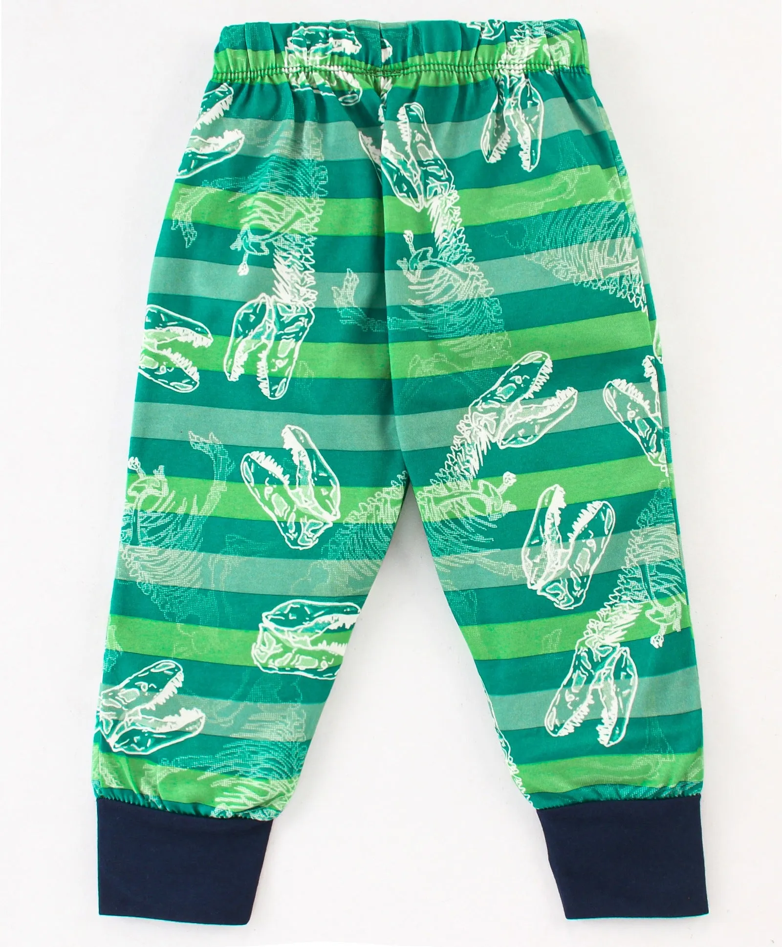 Striped Dinosaur Sweatshirt Jogger Set