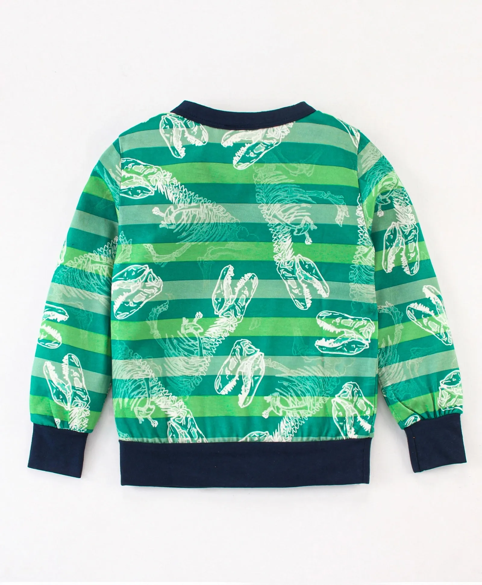 Striped Dinosaur Sweatshirt Jogger Set