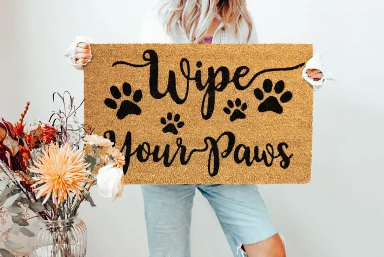 Wipe Your Paws Coir Mat